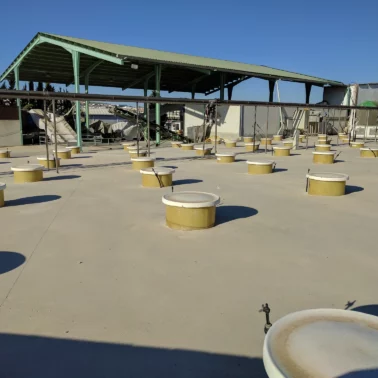PATIO FERMENTACION 2 - INSTALACIONES